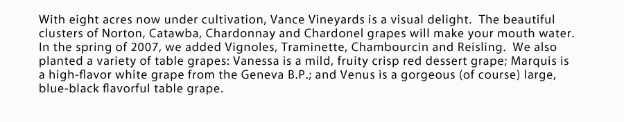 winery in Fredericktown, MO